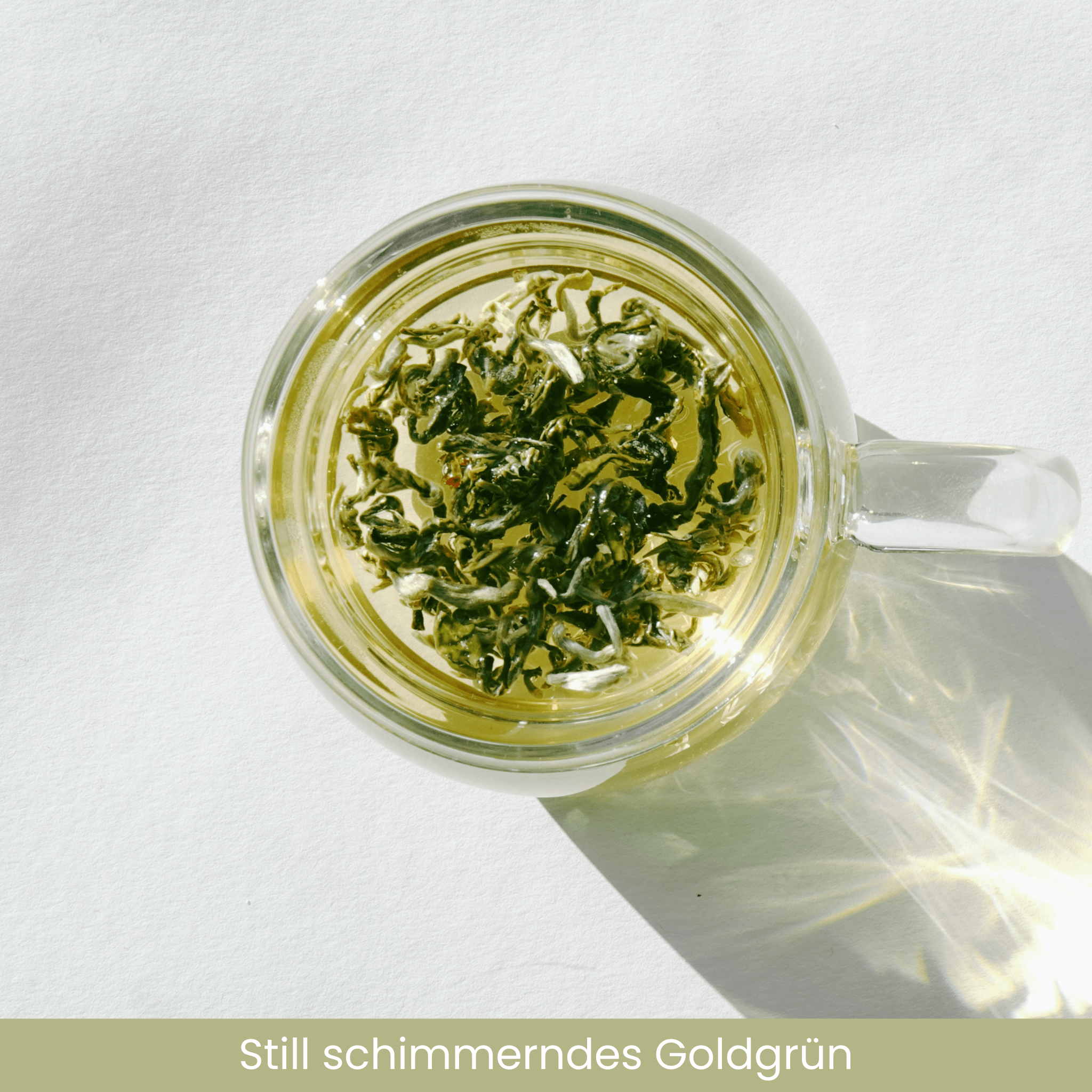 Centered. | Reiner Bio-Grüntee – Vorratspackung (60 g)