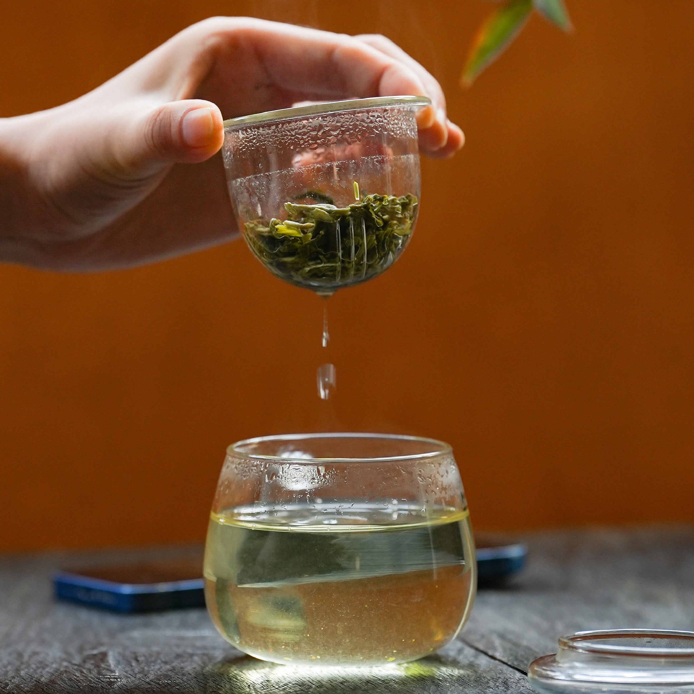 MIND VACATIONS Starter (Gift Box) | PREORDER