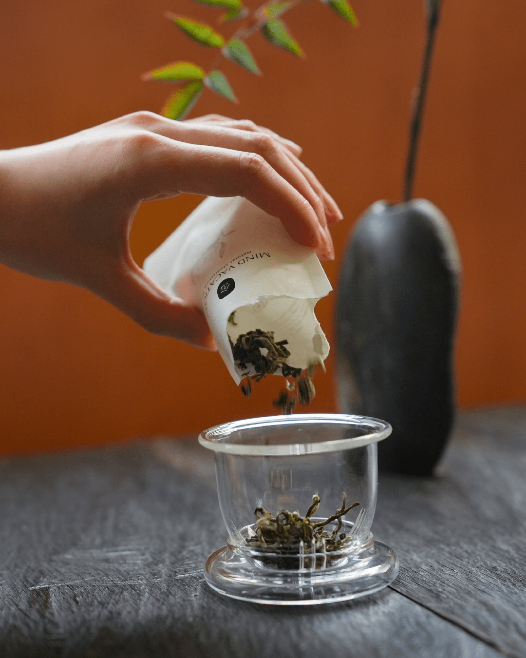 GREEN Tea Meditation - Geschenkedition - MIND VACATIONS